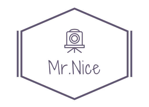 Mr.Nice